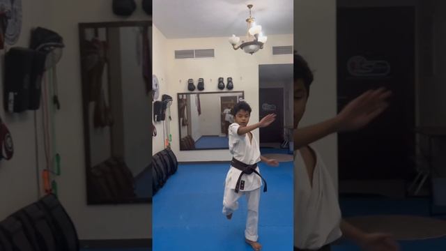 Ashihara Karate Shoshin No Kata 1,2,3 by NeLanka Wijenayaka смотреть онлайн