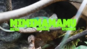 EXILE, STOPBAN, DILBLIN - MiMiMaMaMu(Клип, Бебра 2 Premium)-10 ЧАСОВ