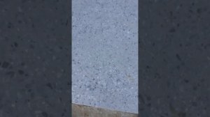 Шлифовка бетонной плиты своими руками. Алмазные чашки Daimond dich 230 и 125 мм