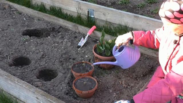 Что нужно делать в саду в мае смотреть онлайн