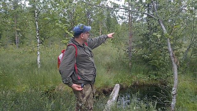Самая высокая точка, Пудожский район - исток реки Сомба - 7 ч из 7 смотреть онлайн