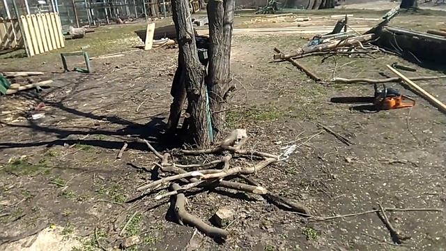 Затерянный Мир. Белка-камикадзе. смотреть онлайн