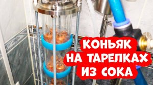 Коньяк. Без дефлегматорный отбор. Сок. Флейта 7 тарелок. Рецепт от А до Я.