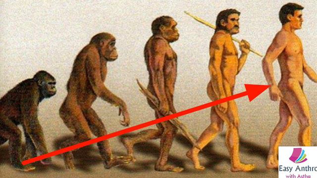 Human evolution and emergence of man part-2 смотреть онлайн