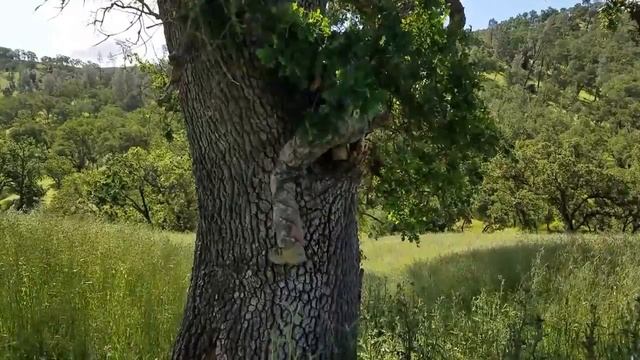 Knoxville Wildlife Area / Berryessa Lake Trail смотреть онлайн