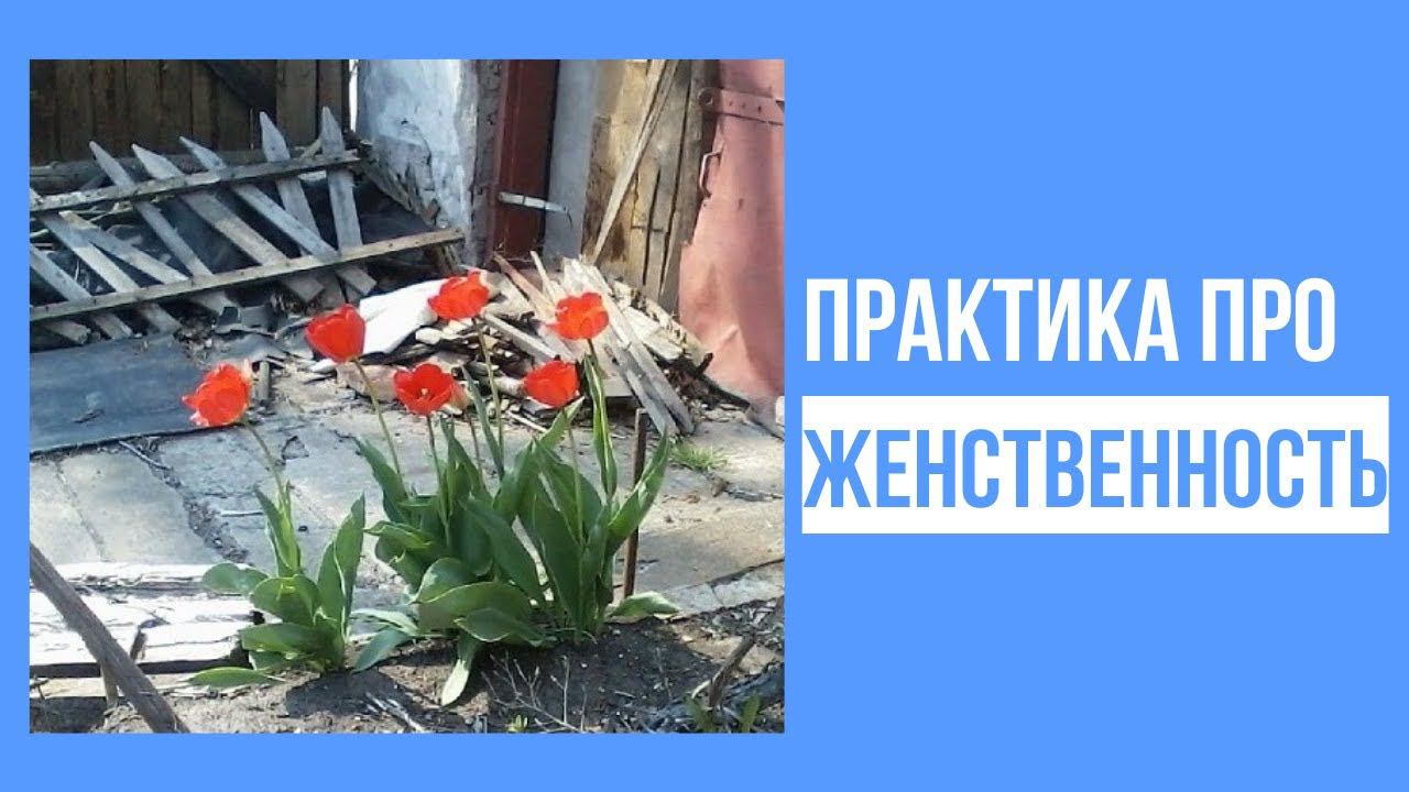 Практика про ЖЕНСТВЕННОСТЬ смотреть онлайн