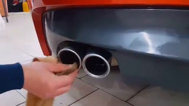 Полировка сузова BMW Z4 смотреть онлайн