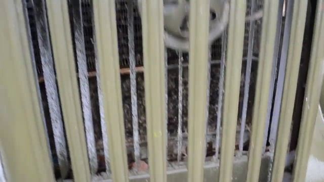 Рассказ про ГАЗ- часть 3 (ГАЗ-69)