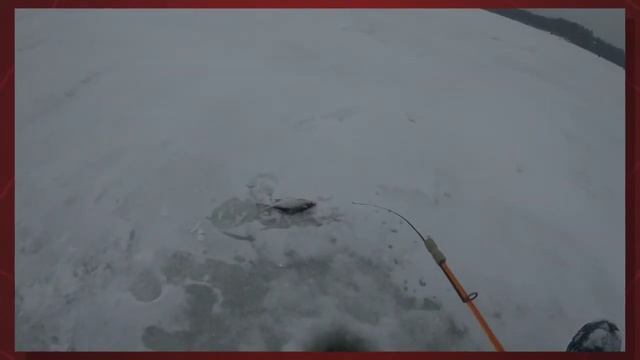 Зимняя рыбалка на Рузском водохранилище Акатово 30.01.2017 смотреть онлайн