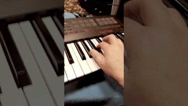 Музыка из мяуканья кота