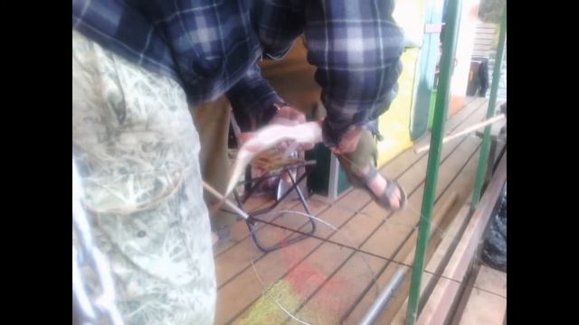 Вятка плот 2015 Аркуль-Шурма