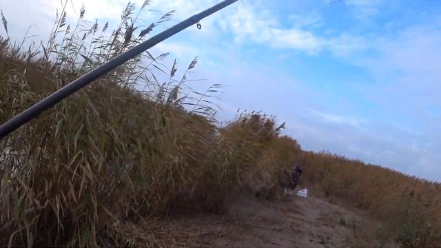 Жор карася в октябре !Я в шоке! Вот это клёв !Морской карась.Рыбалка 2020 в Латвии. смотреть онлайн