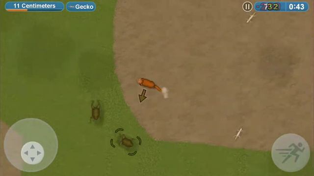 Tasty Planet Forever - Dingo - Back at ya смотреть онлайн