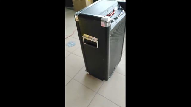 Активная акустическая мобильная система Skytec ST-075 (USB,SD,VHF) 250Вт смотреть онлайн