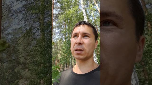 БЕСМЕРТНИК В МАГИИ!? Травы в магии. магические травы. Александр Пичуев смотреть онлайн