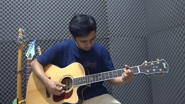 Cort Gold A8 with Fishman Flex Blend (Direct Sound) смотреть онлайн