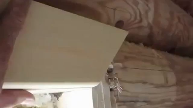 Установка деревянных окон смотреть онлайн