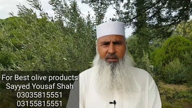 Olive types: Green and Black смотреть онлайн