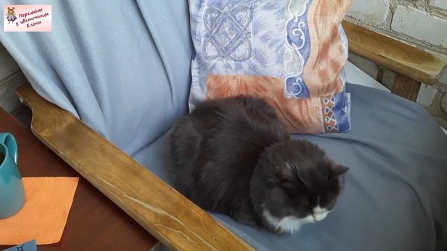 Мой уютный балкон: чем создаю комфорт смотреть онлайн