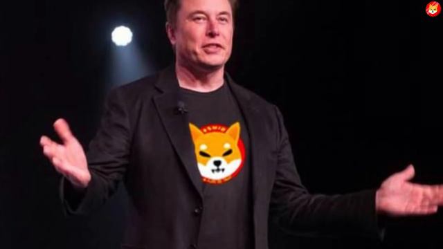 ELON MUSK SAID: YOU ONLY NEED 3 MILLION SHIB COINS TO BECOME A MILLIONAIRE!! - SHIBA INU NEWS смотреть онлайн