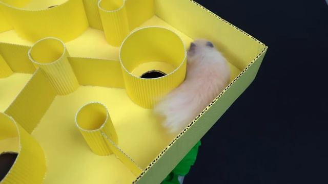 GIANT Burger Maze for Hamster смотреть онлайн