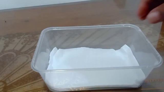 PART 1 HOW TO GERMINATE (ADENIUM OBESUM ARABICUM) MIX VARIETY FROM PORTUGAL | FOUR LEAF CLOVER TV смотреть онлайн