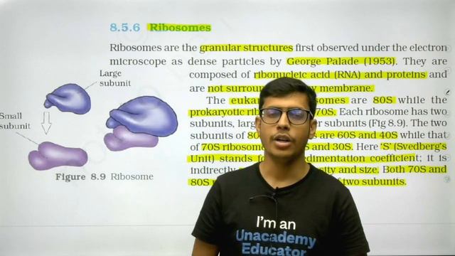 Phoenix 2.0: Biology Most Important Video for NEET 2025 | Vardaan смотреть онлайн