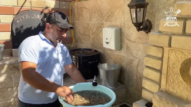 Ziya Baku Xəzərdən Ovlanan Dadlı Və Xırçıltılı Krivetka Hazırlanması