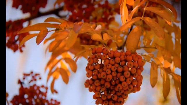 Всё перекаты, перекаты смотреть онлайн