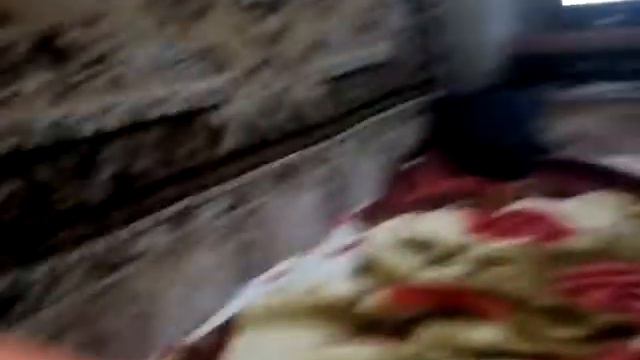 Ваня истеричка орет постоянно смотреть онлайн