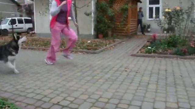 Бадди. Первая ринговка