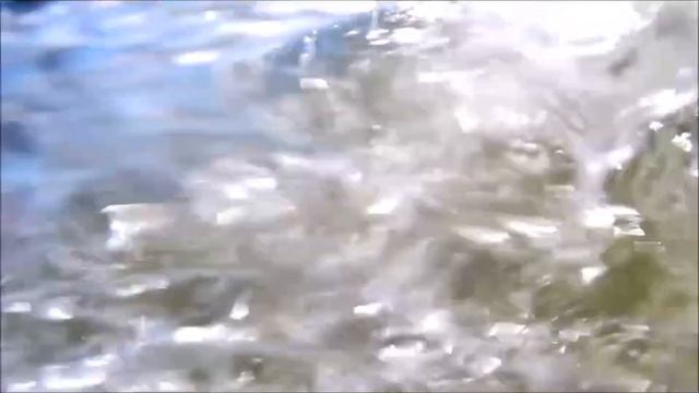 Охота на камбалу в Чёрном море смотреть онлайн