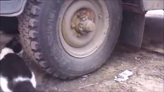 Замаскировалась. смотреть онлайн