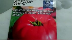 Дорогой гость на вашем участке. Ещё один сорт томата ?