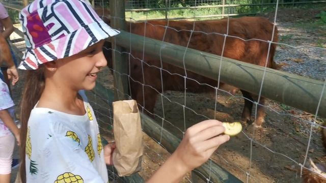 Экопарк Фельдмана. «Фельдман-Экопарк». Август 2021 смотреть онлайн