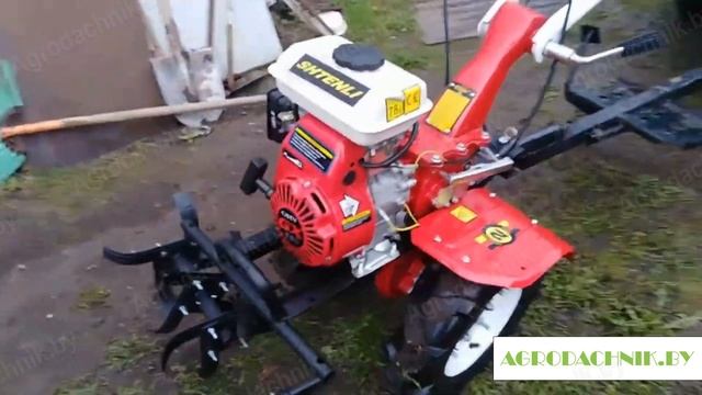 Мотокультиватор Shtenli 8000 Expert 7 л.с. - Мини обзор #top #trending #shortvideo смотреть онлайн