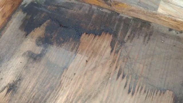 Капитальная чистка пианино LICHTENTHAL. И о том, как это всё делать. смотреть онлайн