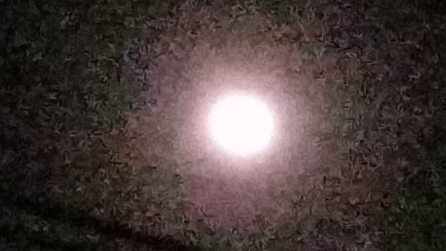 Luna ?✨??????????????