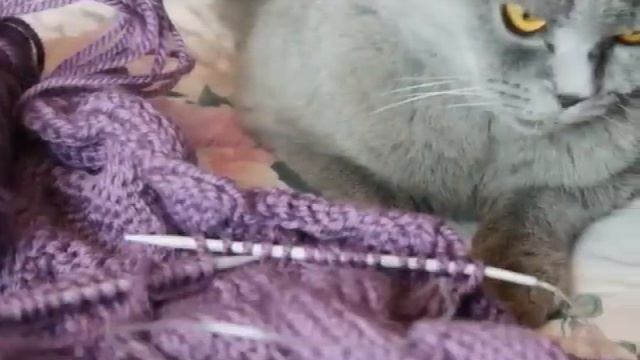 Вязаный снуд узором бабочки смотреть онлайн