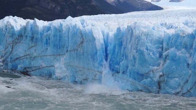 Диета глобального потепления – ФПИ «Экология Будущего»