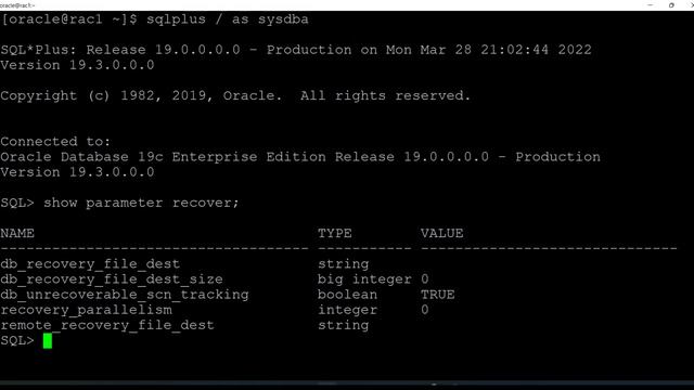 FRA In RAC DATABASE | Enable FRA in RAC Database | Flashback recovery area ? смотреть онлайн