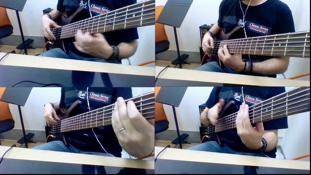 Casa Vianello - Bass Cover смотреть онлайн