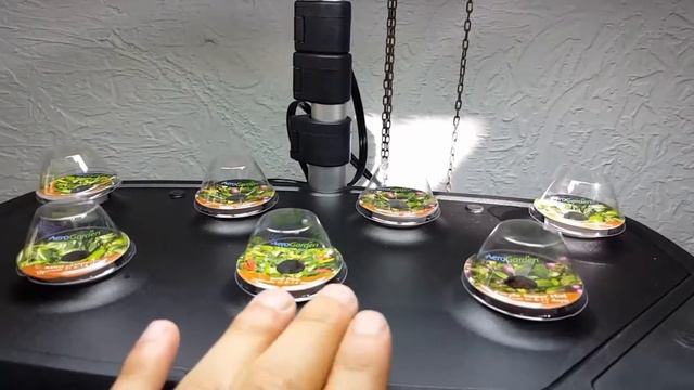 Hydroponic System Indoor Garden AEROGARDEN