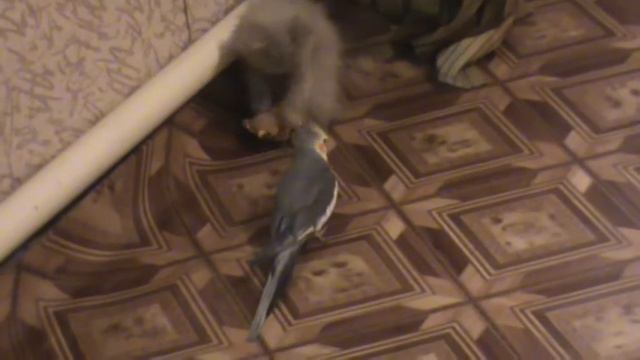 Жестокие игры... смотреть онлайн