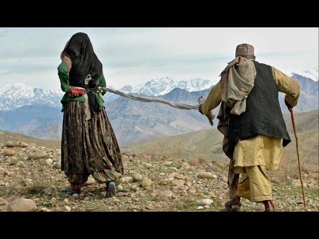 К чему приводит несправедливость