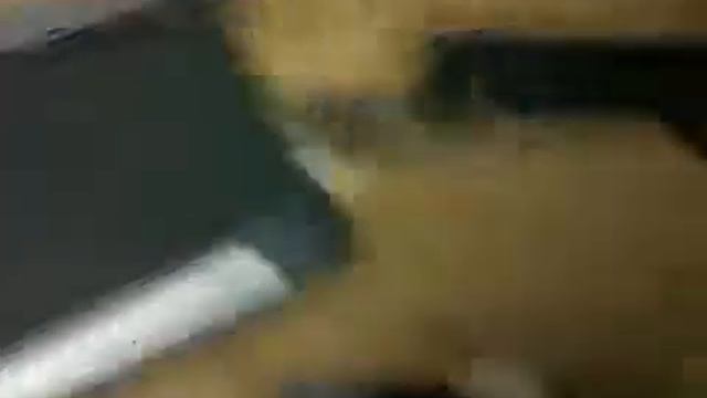 Котенок катается на беговой дорожке смотреть онлайн