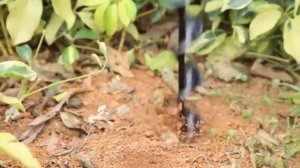 Земляной бур для дрели. Садовый бур для дрели. Garden Planter Spiral Drill