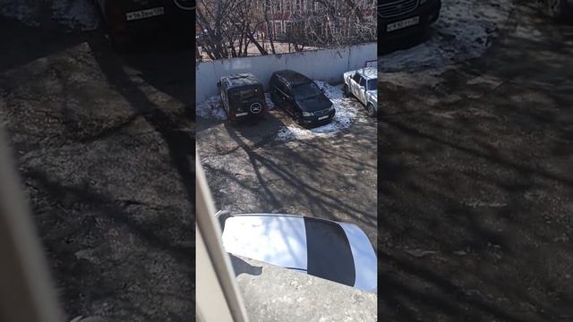 Замедленная сьёмка голубей, похожих на небесных ангелов. смотреть онлайн