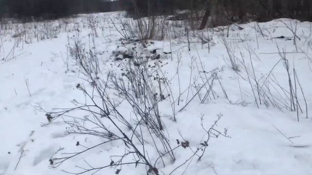 КОП МЕТАЛЛОЛОМА/ТЕСТ MD-4030 смотреть онлайн