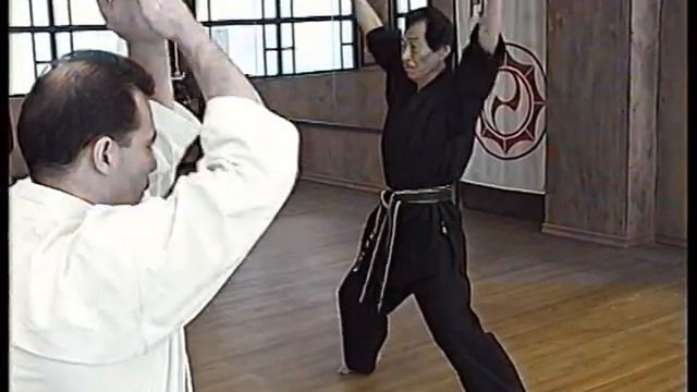 Дзёсинмон Сёрин-рю Карате-до: семинар Хошу ИКЕДЫ - 1. смотреть онлайн